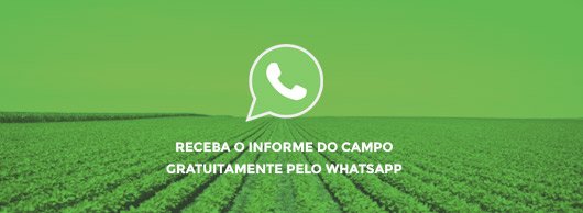 Informe pelo WhatsApp