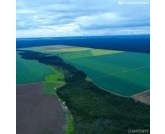 A colheita no sudoeste paulista já está em andamento há pelo menos três semanas. Além disso, os bons resultados em termos de qualidade dos grãos é algo que podemos destacar.