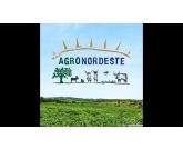 AgroNordeste vai ajudar a reduzir as diferenças regionais AgroNordeste vai ajudar a reduzir as diferenças regionais