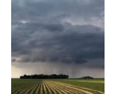 Ausência de chuvas regulares preocupa produtores de SP