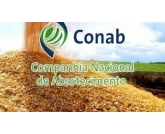 Conab prevê novo recorde para safra brasileira de grãos Conab prevê novo recorde para safra brasileira de grãos