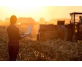 Em 10 anos, área plantada vai aumentar no BR Em 10 anos, área plantada vai aumentar no BR