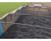 Feijão Preto: Mercado sem Entusiasmo