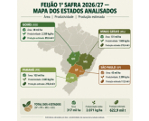 FEIJÃO | SUDOESTE PAULISTA: CHOVEU MUITO, MAS DE ONDE VÊM OS 40% DE QUEBRA?