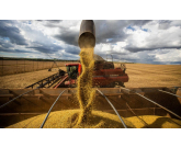 Mato Grosso: safra 2021/22 registra 86,4 milhões de toneladas de grãos