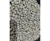 Mercado de feijão opera em compasso de espera: especulação trava negócios e lavouras cedem no preço