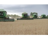  O pregão desta quinta-feira, 15, operou literalmente com novos embarques. O dia anterior foi bem favorável às vendas, e nesta manhã se fez necessário a presença de novos lotes. O volume ficou em algo aproximado de 12 mil sacas do feijão carioca. 