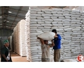 O pregão desta segunda-feira (28) abriu a semana com uma oferta de aproximadamente 17 mil sacas do feijão carioca, um volume considerado razoável e suficiente para manter a intenção de reajuste de preços, algo que já vem ocorrendo desde os últimos pr O pregão desta segunda-feira (28) abriu a semana com uma oferta de aproximadamente 17 mil sacas do feijão carioca, um volume considerado razoável e suficiente para manter a intenção de reajuste de preços, algo que já vem ocorrendo desde os últimos pr