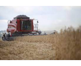 Paraná deve produzir 40,6 milhões de toneladas de grãos