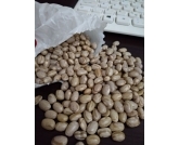 Pregão desta quinta (05) abre com preços em queda, mas não registra boas vendas Pregão desta quinta (05) abre com preços em queda, mas não registra boas vendas