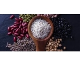 Safra de verão pode chegar a 30,2 milhões de toneladas no RS